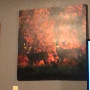 Meet your Posher, Jake